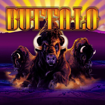 Buffalo